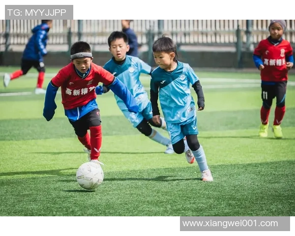 足球有晴天带来的希望与梦想在绿茵场上绽放的青春旋律